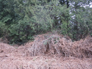 Picture of Point Roberts Parcel Number 405303-477463